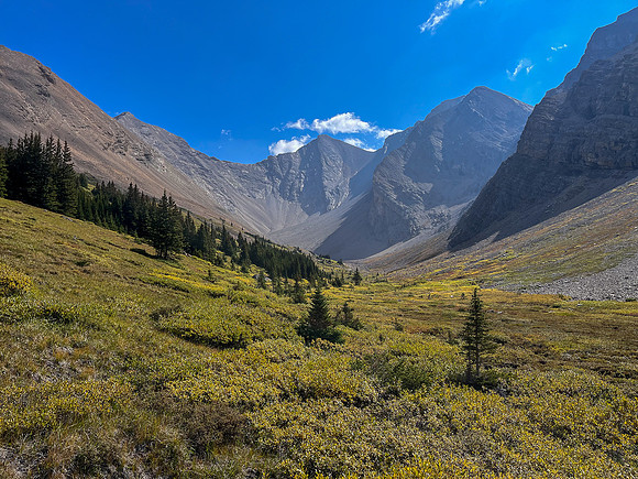 Traversing east above Roaring Creek to Mount Goodair.