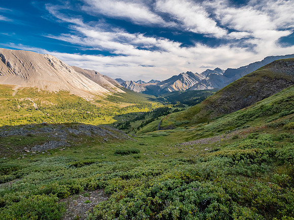Descending into the upper NW corner of McConnell meadows under Smoky Mountain.