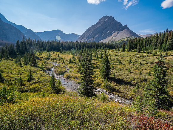 Hiking the McConnell Meadows above the north branch of McConnell Creek.