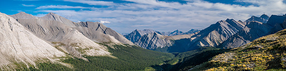 Hiking the McConnell Meadows above the north branch of McConnell Creek.