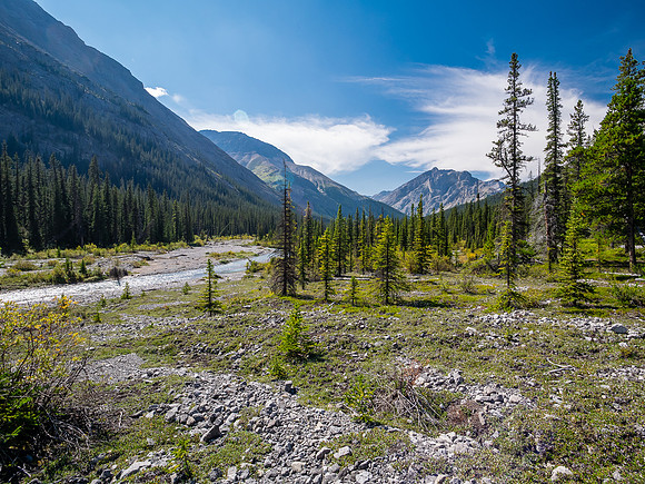 Hiking up McConnell Creek.