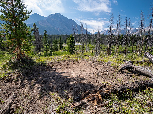 Hiking the Red Deer River Trail.