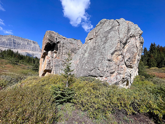 Traversing east above Roaring Creek to Mount Goodair.
