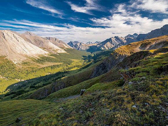 Hiking the McConnell Meadows above the north branch of McConnell Creek.