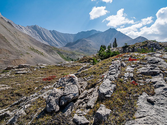 Traversing east above Roaring Creek to Mount Goodair.
