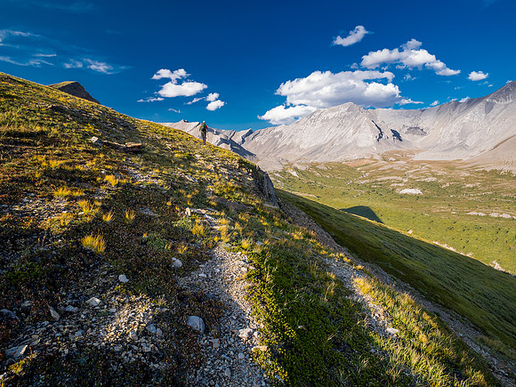 Hiking the McConnell Meadows above the north branch of McConnell Creek.