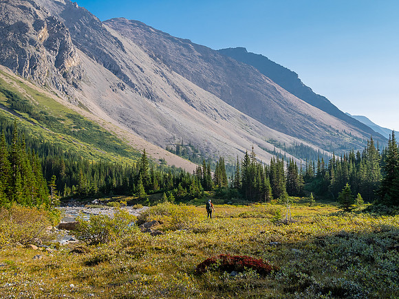 Hiking down the west branch of McConnell Creek.