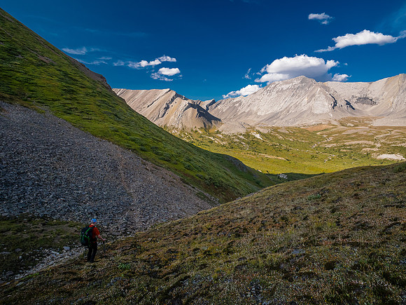 Hiking the McConnell Meadows above the north branch of McConnell Creek.
