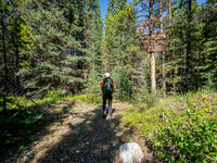 Hiking the Red Deer River Trail.