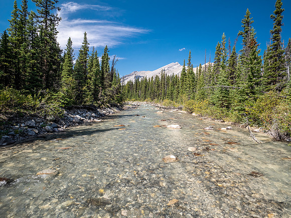 Hiking up McConnell Creek.