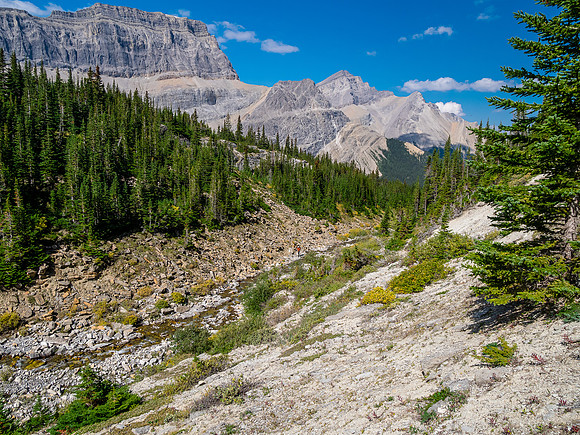 Traversing east above Roaring Creek to Mount Goodair.