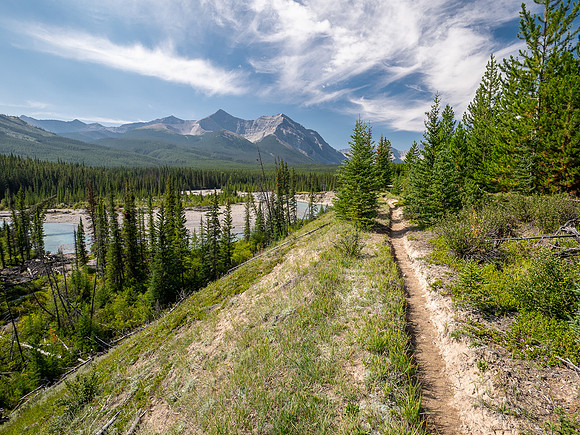 Hiking the Red Deer River Trail.