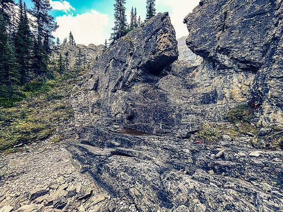 Hiking across the Roaring Creek valley.
