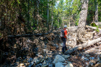 Bushwhacking towards the east face of Tyrrell.
