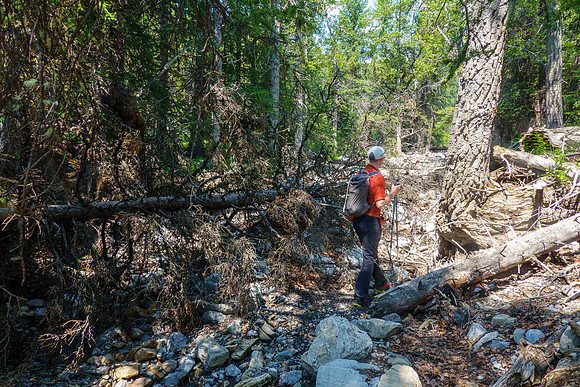 Bushwhacking towards the east face of Tyrrell.