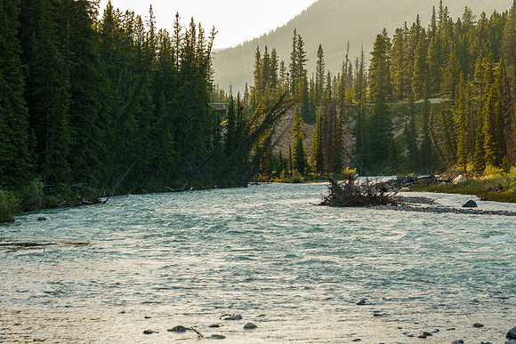 A pleasant evening along the Red Deer River.