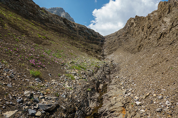 Approaching the east face of Tyrrell along a SE drainage.