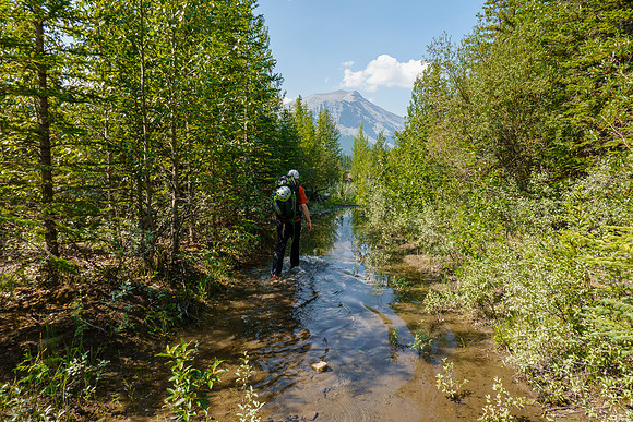 Hiking the Red Deer River / Cascade fire road Trail.