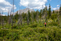 Bushwhacking towards the east face of Tyrrell.