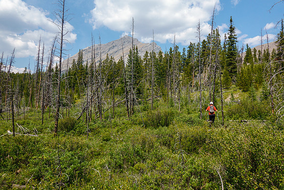 Bushwhacking towards the east face of Tyrrell.