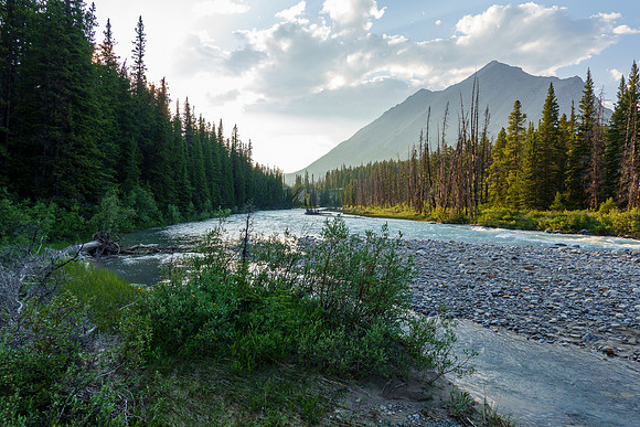 A pleasant evening along the Red Deer River.