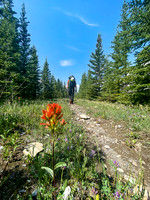 Hiking the Red Deer River / Cascade fire road Trail.