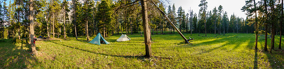 Scotch Camp.