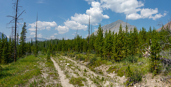 Mount Tyrrell rises north of the Red Deer River trail.