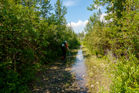 Hiking the Red Deer River / Cascade fire road Trail.