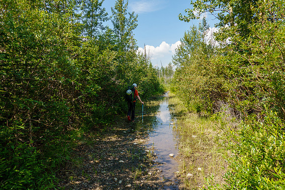 Hiking the Red Deer River / Cascade fire road Trail.