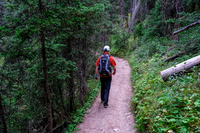 Exiting the Johnston Canyon / Hillsdale Meadows trail.