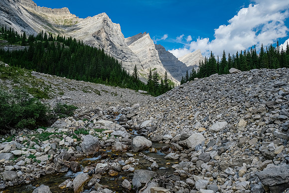 Finally out of the bushwhacking into the upper creek.
