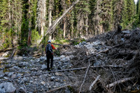 Hiking up the access creek. A mix of forest, bushwhacking, deadfall and wet feet.