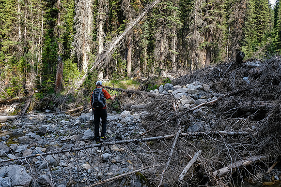 Hiking up the access creek. A mix of forest, bushwhacking, deadfall and wet feet.