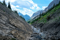 The creek narrows near tree line against an interesting bedding plane.