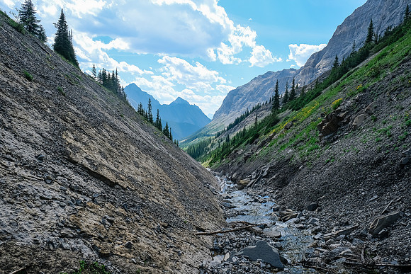 The creek narrows near tree line against an interesting bedding plane.
