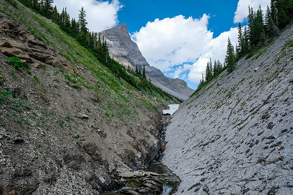 The creek narrows near tree line against an interesting bedding plane.