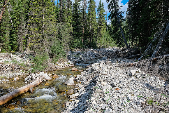 Hiking up the access creek. A mix of forest, bushwhacking, deadfall and wet feet.