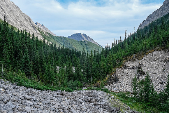 Starting to sidehill and descend to the creek.