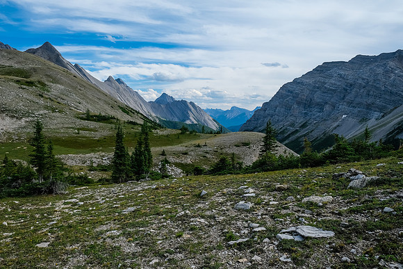 Beautiful alpine meadows along our high line traverse exit.