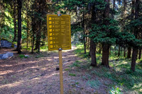Trails everywhere here!