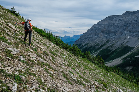 Starting to sidehill and descend to the creek.