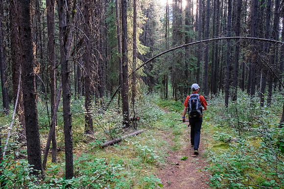 Starting the hike from Hillsdale Meadows to Johnston Canyon and the Ink Pots.