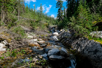 Hiking up the access creek. A mix of forest, bushwhacking, deadfall and wet feet.