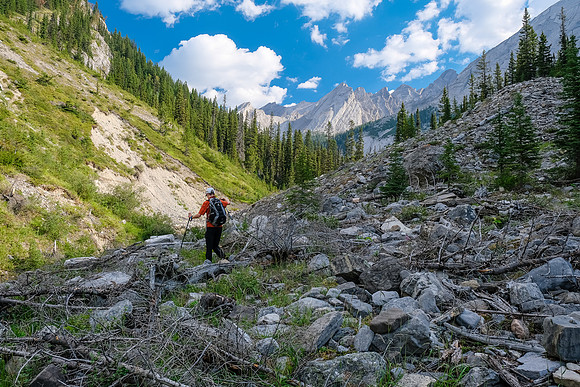 Hiking up the access creek. A mix of forest, bushwhacking, deadfall and wet feet.