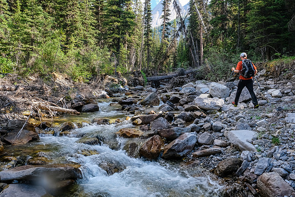 Hiking up the access creek. A mix of forest, bushwhacking, deadfall and wet feet.
