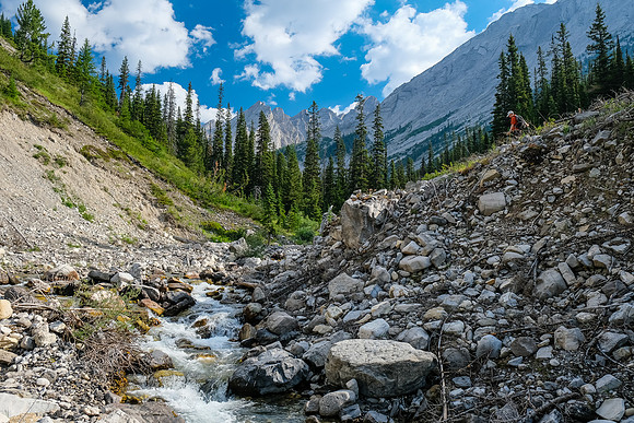 Hiking up the access creek. A mix of forest, bushwhacking, deadfall and wet feet.