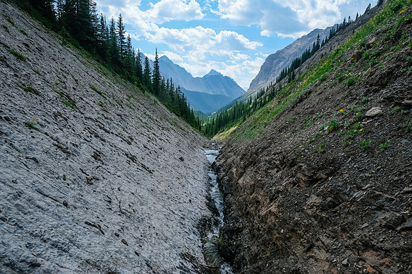 The creek narrows near tree line against an interesting bedding plane.