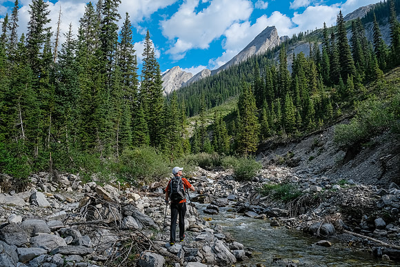 Hiking up the access creek. A mix of forest, bushwhacking, deadfall and wet feet.