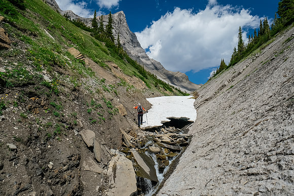 The creek narrows near tree line against an interesting bedding plane.